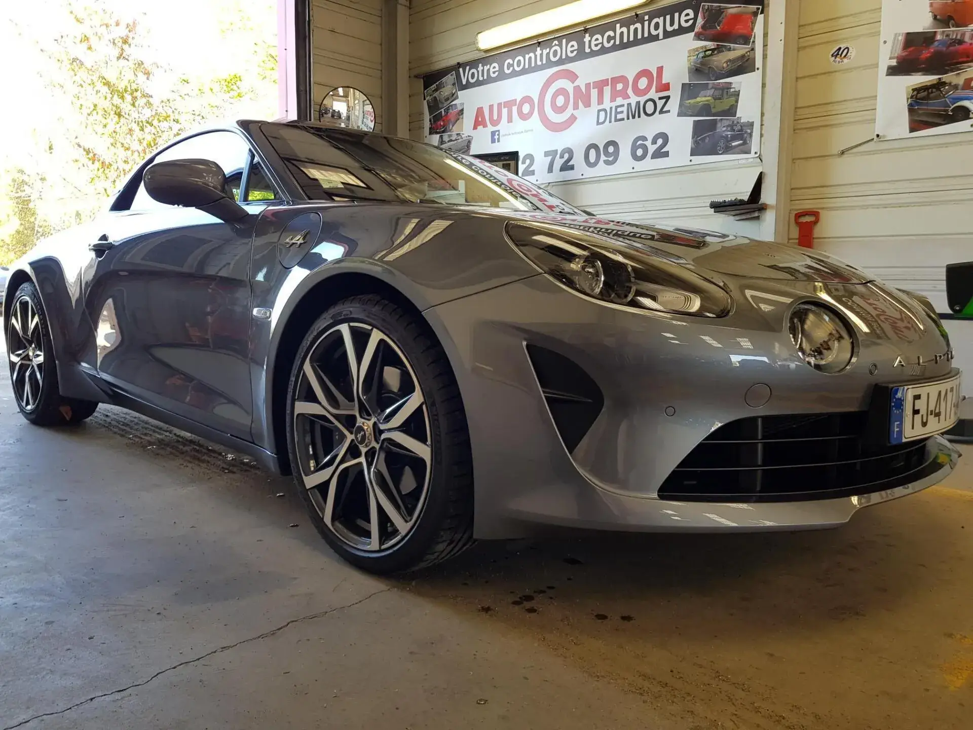 alpine grise